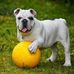 Doris Penn - Facebook