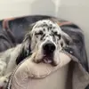 Doris Penner633 - @dorisandpauli - TikTok