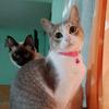 Doris y Penny - @doris_penny - TikTok