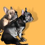 @dorisandpenny - Instagram