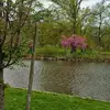 Doris Peralta - @doris.peralta626 - TikTok