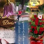 Doris Peraza - @dorisperaza2 - Instagram