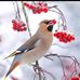 Doris Perdomo - Facebook