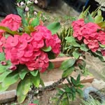 Doris Perdomo Perdomo - @dorisperdomo539 - Instagram