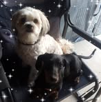 Doris Perrin - Facebook