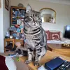 Doris Perrin - @doris.perrin - TikTok