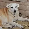Doris Perrin-Schäffeler - @doris.perrinschff - TikTok