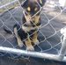 Doris Perry - Facebook