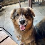 Doris Perry - @dorisperry9719 - Instagram