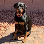 Doris Perry - @miss.doris.perry - Instagram