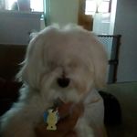 Doris Petro - @mamedebbie6473 - Instagram