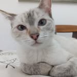 @doris_petrovich2 - Instagram