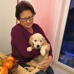 Doris Pfister - @doris.pfister46 - Instagram