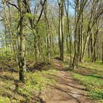Doris Pfister - @kuni0764 - Instagram