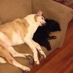 Doris Phelps - @dphelps511951 - Instagram