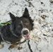 Doris Philipps-Berton - Facebook