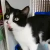 Phoenix_and_Doris - @phoenix_and_doris - TikTok