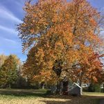 Doris Picard - @dorispicard - Instagram