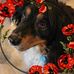 Doris Picard - Facebook