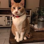 Doris Pick - @dorism2220 - Instagram