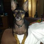 Doris Pickles Clemmons Miles - @dorispicklesclemmons - Instagram