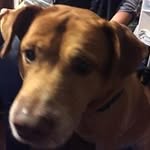 Doris Pickens - @dorispickens - Instagram