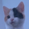 Doris Pigg - @dorispigg9278 - TikTok
