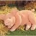 Doris Pigg - Facebook