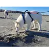 TheGBBSEPack - @thegbbsepack - TikTok