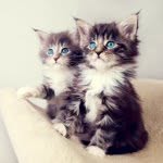 @doris_pinapple_ - Instagram