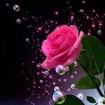 Doris Pineda - @doris.pineda.90281 - Instagram