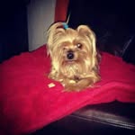 Doris Pino Reyes - @dorispinoreyes - Instagram