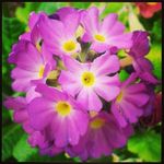 Doris Piper - @doris.piper.12 - Instagram