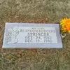 Doris Springer Piper - @dorisspringerpi11 - TikTok