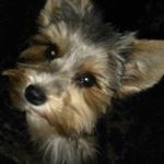 Doris Pohl - @doris.pohl.501 - Instagram