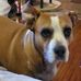Doris Painter - Facebook