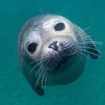 Doris Poling - @dorispoling42 - Instagram