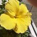 Doris Poulton - Facebook