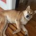 Doris Poma - Facebook