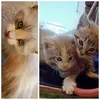 Doris Poma - @doris.poma0 - TikTok