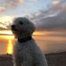 Doris Poma - Facebook