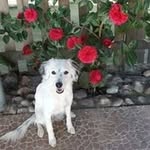 Doris Pomar - @dorispomar6 - Instagram