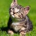 Doris Pond - Facebook