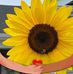Doris Pond - Facebook
