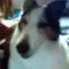 Doris - @dorisponsford - TikTok