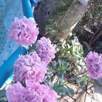 Doris Pons - @pons_doris - Instagram