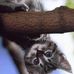 Doris A. Porterfield - Facebook