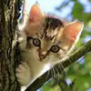 Doris Ann Porterfield - @doris.ann.porterf - TikTok