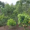 mejia mejia - @doris.posadas5 - TikTok