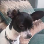 Noah postell - @dorismedina070 - Instagram